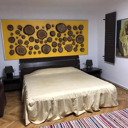 Garsoniera Centru * Brasov