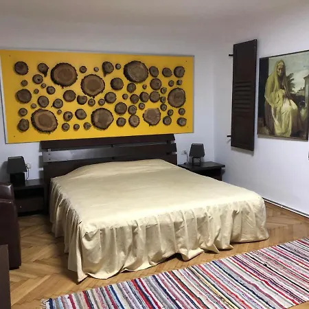 Garsoniera Centru Apartment